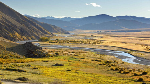 Molesworth Recreation Reserve Area Hunting