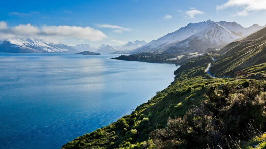 Queenstown Area Hunting