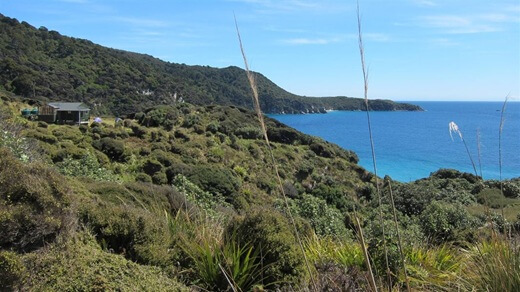 Rakiura / Stewart Island Restricted Area Area Hunting